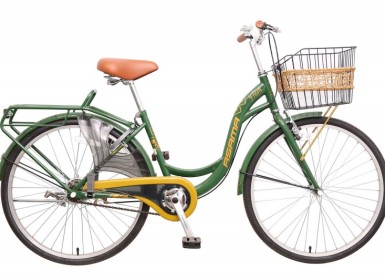 Xe đạp thời trang ASAMA CLD PU24